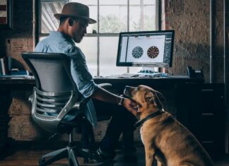 man med hund vad dator spelar casino